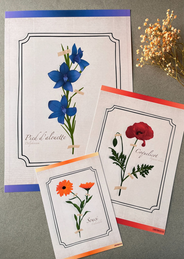 Affiche bonus. L'herbier d'une année florissante