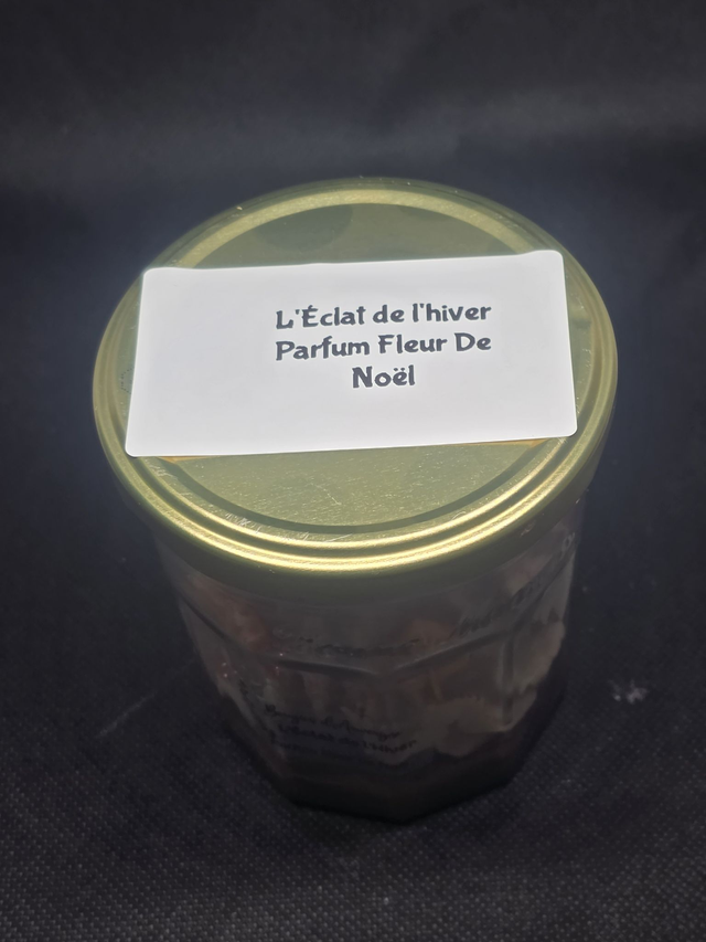 l'Éclat de l'hiver, parfum fleur de Noël