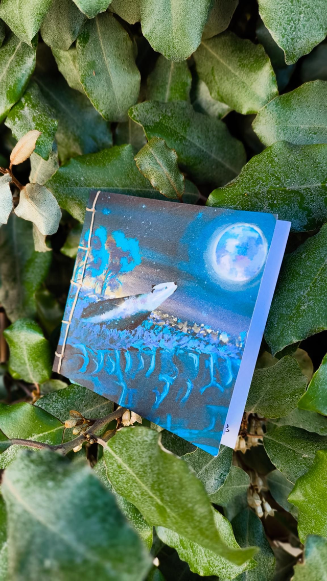 Le Blaireau invisible - Histoire - mini livre