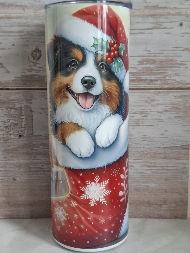 Gourde Canette berger australien de noel