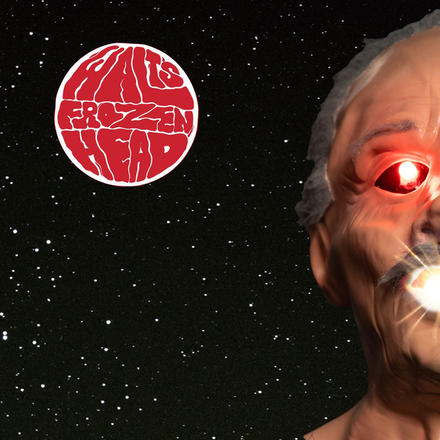 Walt's Frozen Head - Zero To Unicorn (debut album)