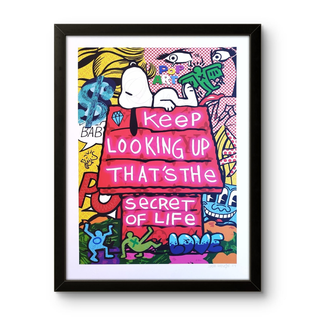 Snoopy House Limited Edition