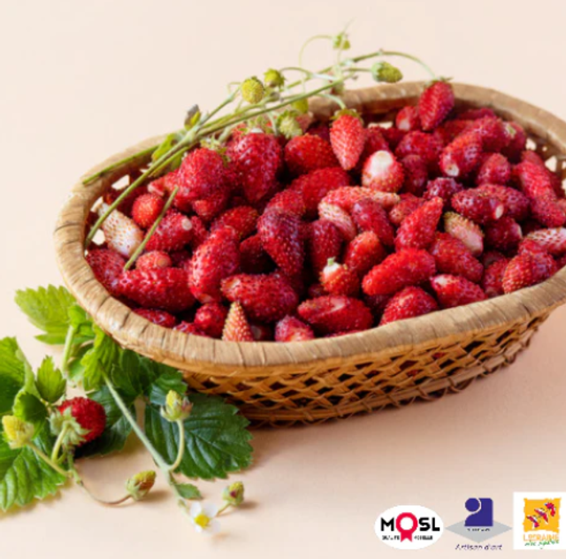 FONDANT FRAISE DES BOIS