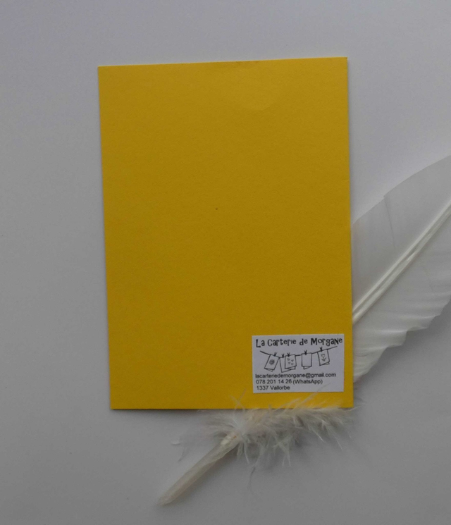 Le pingouin de la bonne année