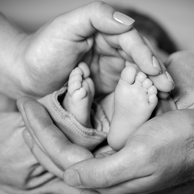 Newbornshooting im Fotostudio Paket S