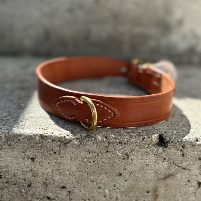 Hundehalsband robustes Rindsleder, Verschluss englisch