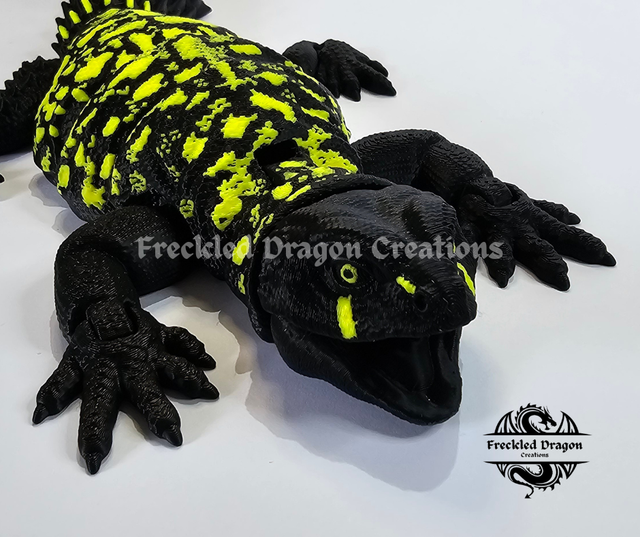 Uromastyx Lizard