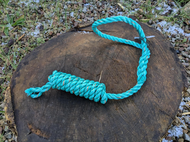 Dog Throw Toy - Lizard Point (Medium)