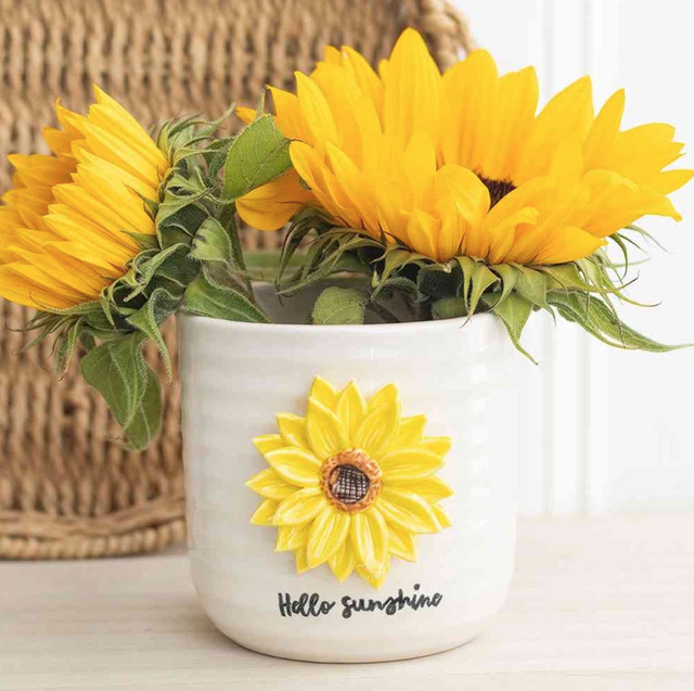 Hello Sunshine met 3D Sunflower - Plantenpot