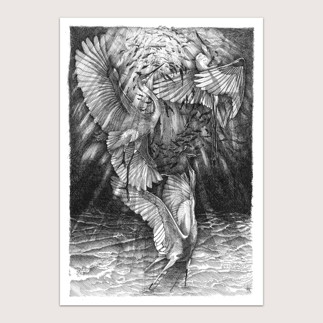 Les Grandes Aigrettes