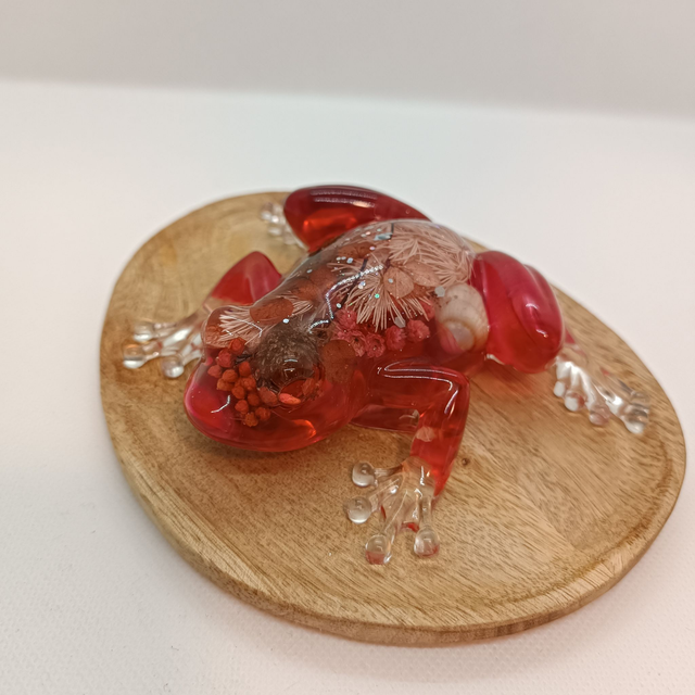 Grenouille - Rouge