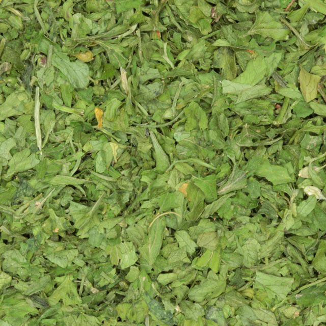 Peterselie (parsley) (Petroselinum crispum) - BIO