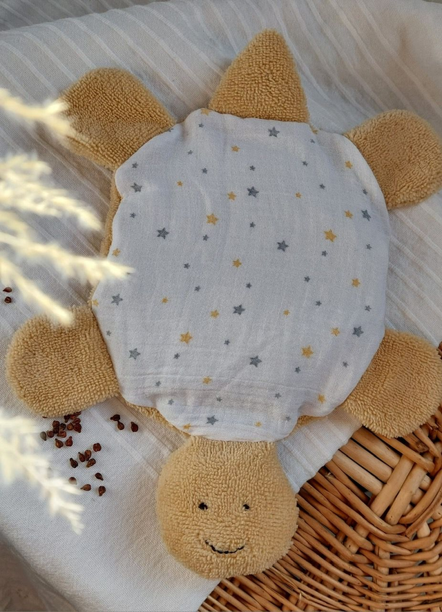 La Tortue bouillotte