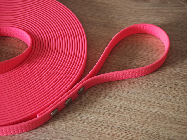 Longe de 10m & 16mm de largeur