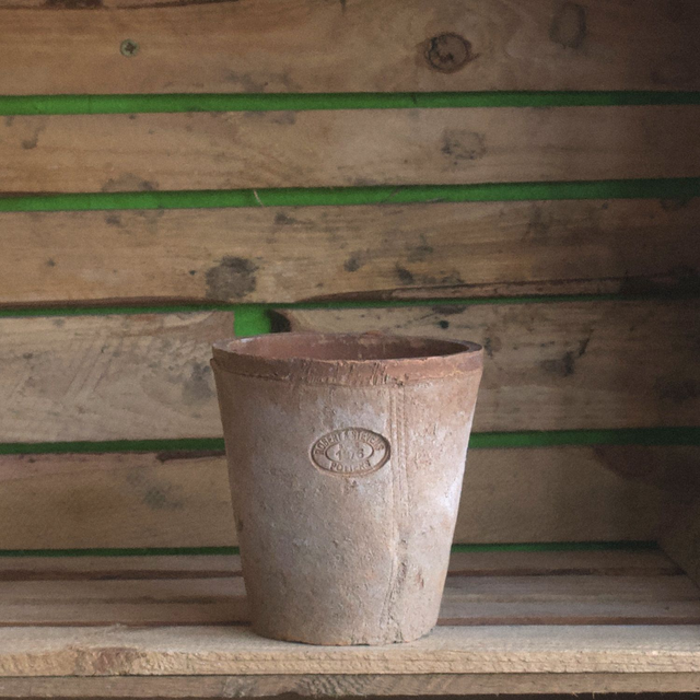Aged Terracotta Tall Pot