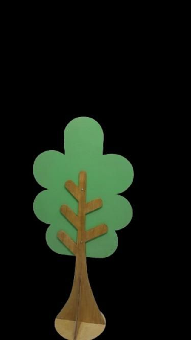 ÁRVORE  - LOCAÇÃO 