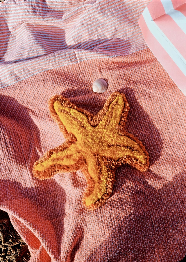 Étoile de mer orangée 🟠 