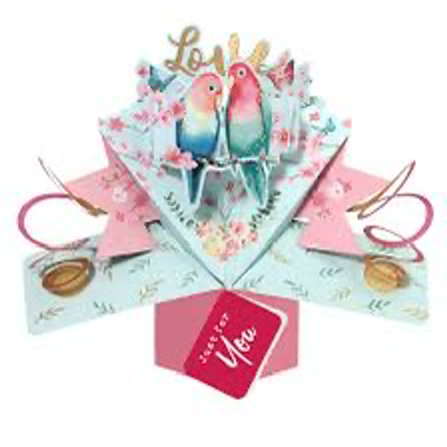 Love Birds Sending Lots Of Love Pop Up Card Suit Any Romantic Occasion