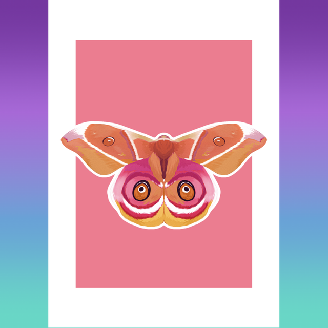 MOTH SERIES - Bullseye / Lesbian Print