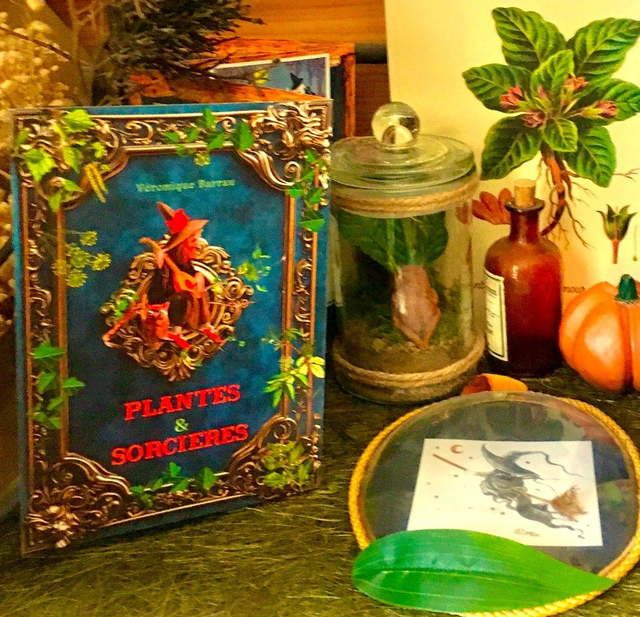 Plantes et sorcières