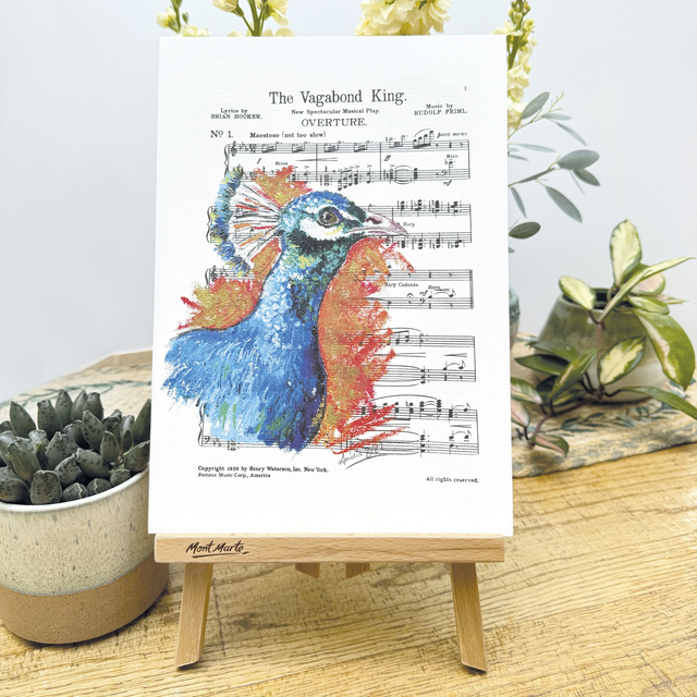 Vagabond King Peacock