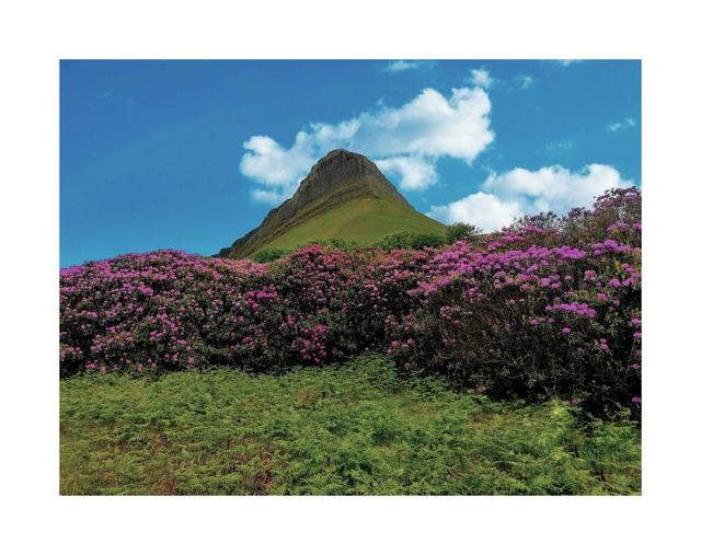 Benbulben, County Sligo. 5" x 7 " Blank Greeting card with envelope. includes postage to all of Ireland.

