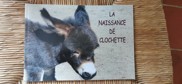 Petit livre "La naissance de Clochette"