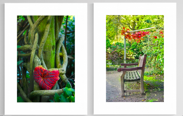 Meet me at Our Bench - Print