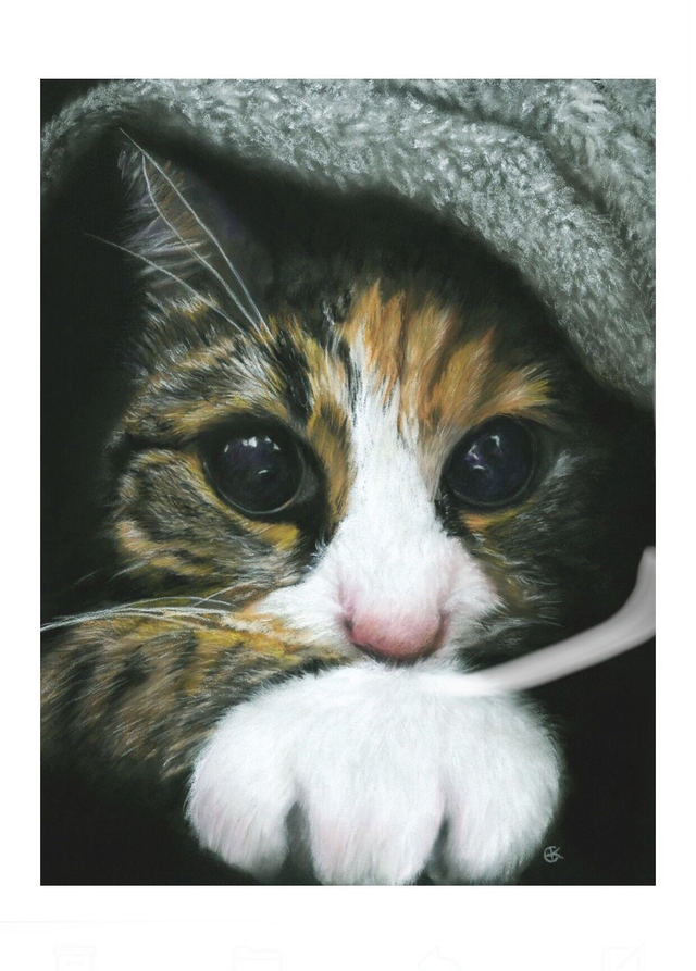 Print (small) 'NOVA' (Konijnenparadijs)