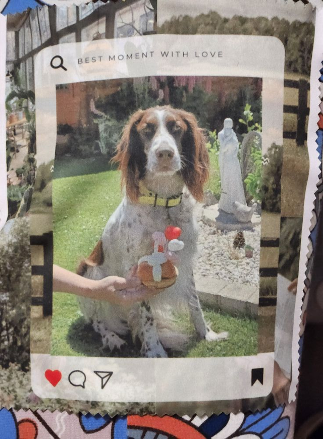 Lingette lunette &quot; roxy happy  &quot; commande personnalisée 