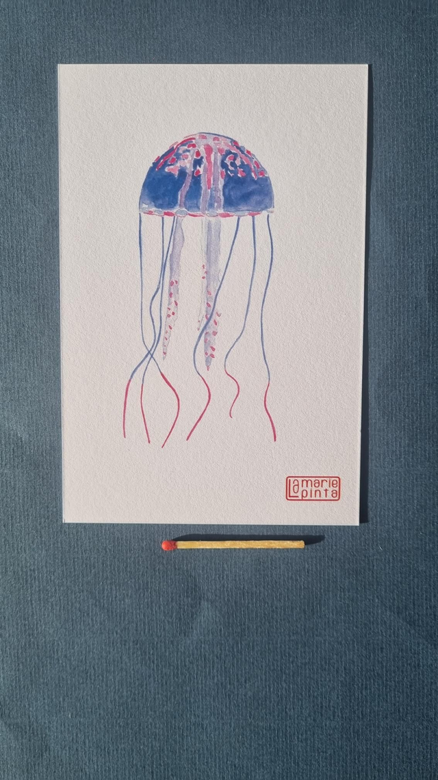Méduse bleu à partir de 4€