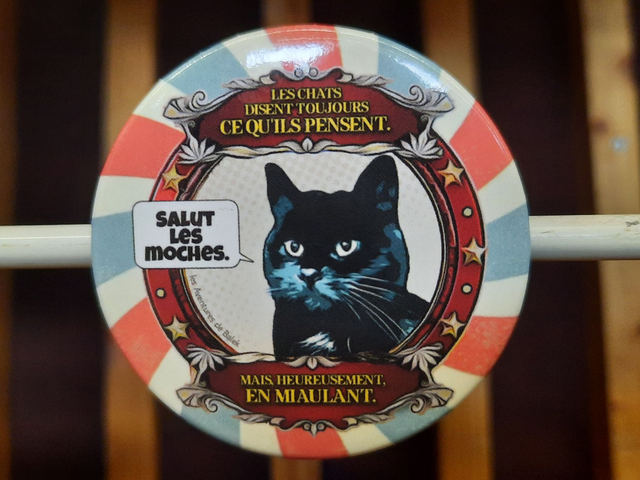 Magnet Cristal "Salut les moches !"