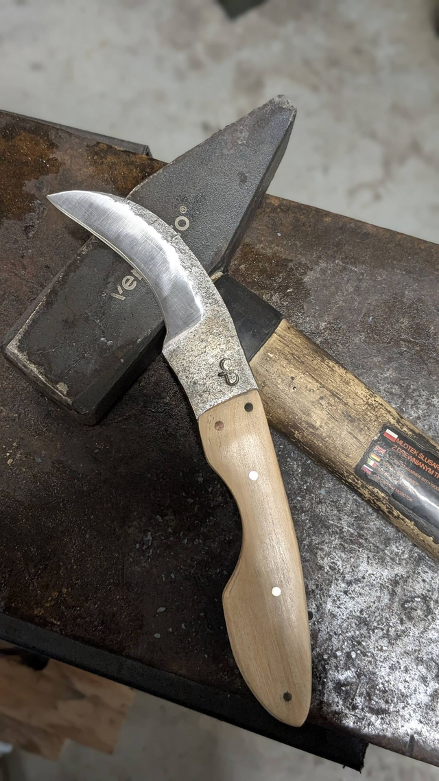 Couteau à champignon