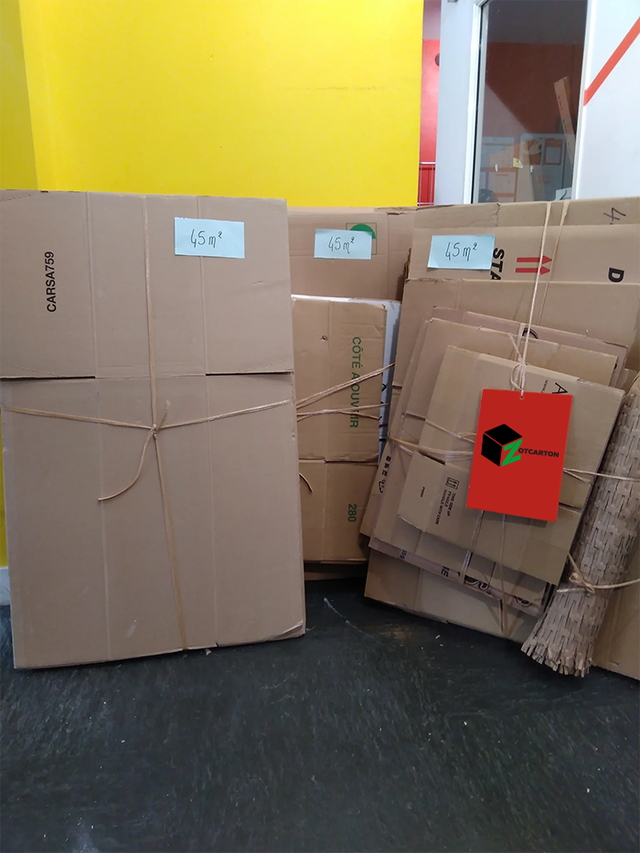 KIT DEMENAGEMENT 50 CARTON