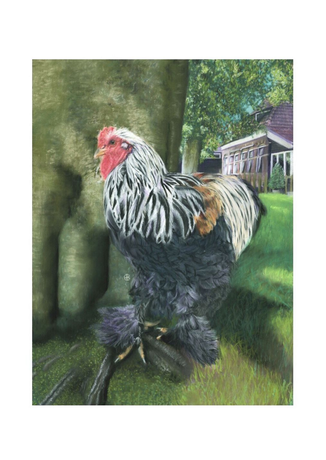 Print (large) AT THE FARM' (Konijnenparadijs)