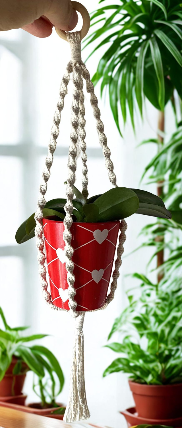 Mini porte-plante en macramé