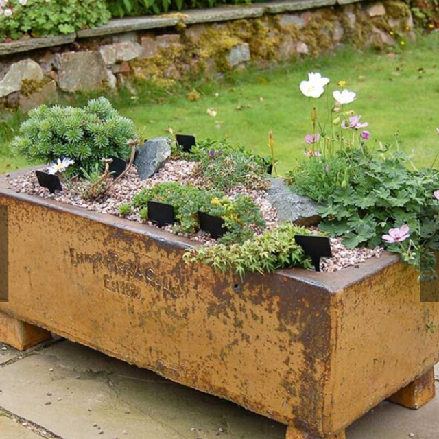 Errington Reay Trough 