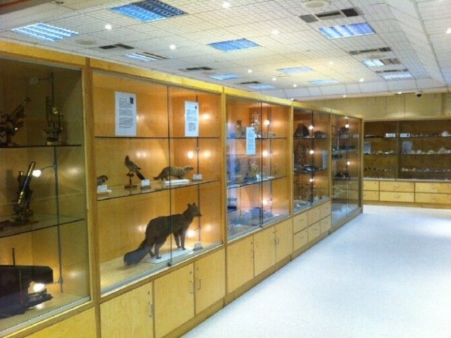 Zoology and Geology Museum Tour