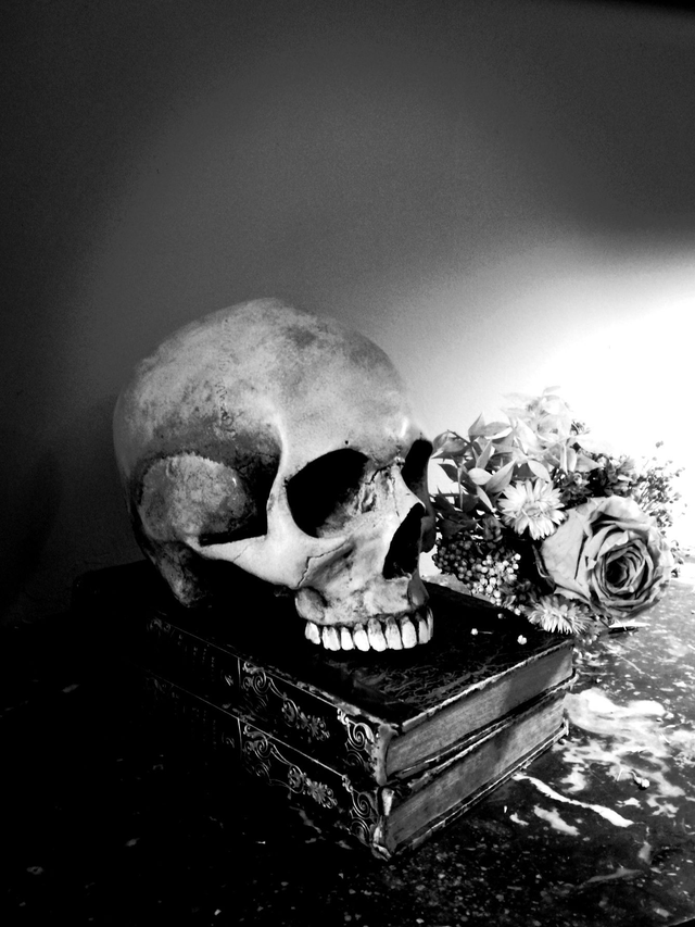 Le métier d'écrivain