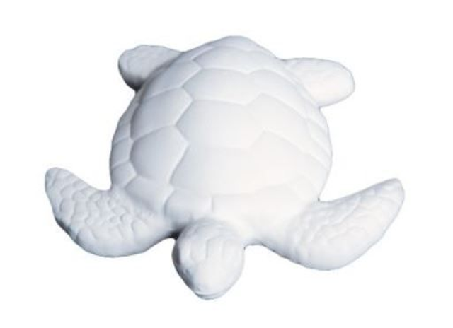 Sea Turtle