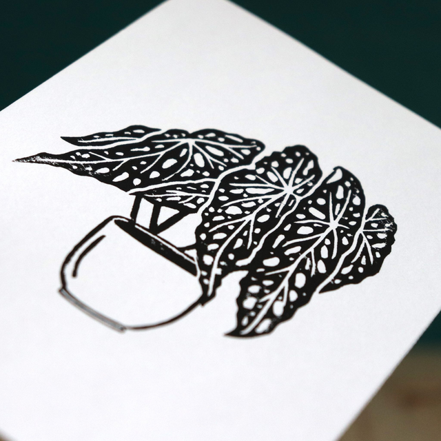 Linogravure A6 Begonia Maculata