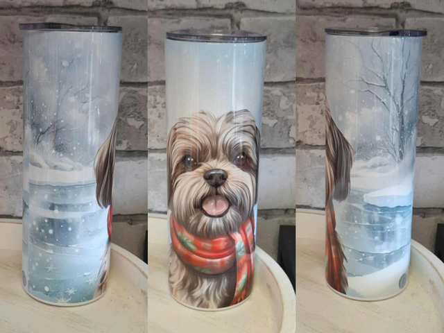 Gourde Canette Lhassa écharpe rouge 