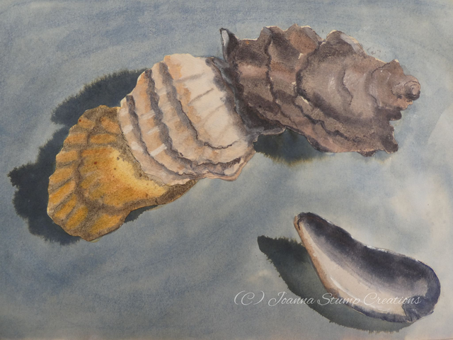 Open Edition Fine Art Print "Shell Study 4"