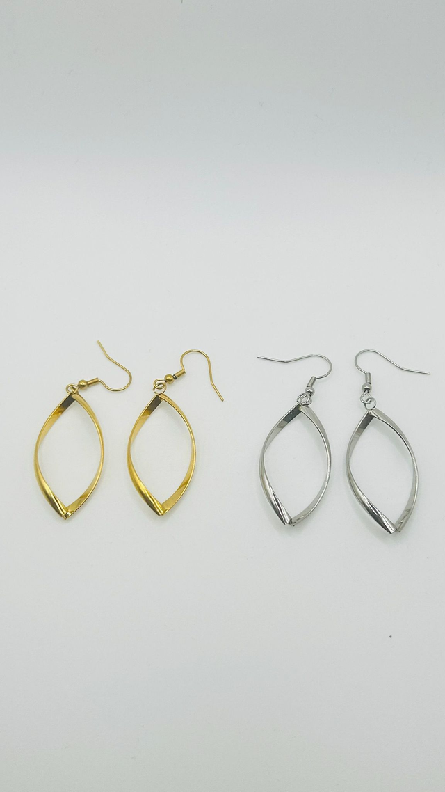 Stainless Steel Earrings (SSE3J)