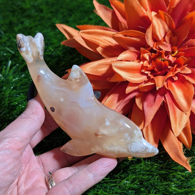 Flower Agate Dolphin 🐬