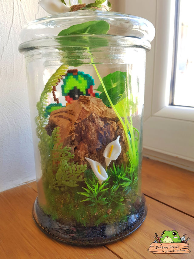 Terrarium Chétivolution