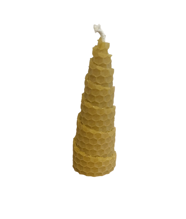 Bougie roulée sapin