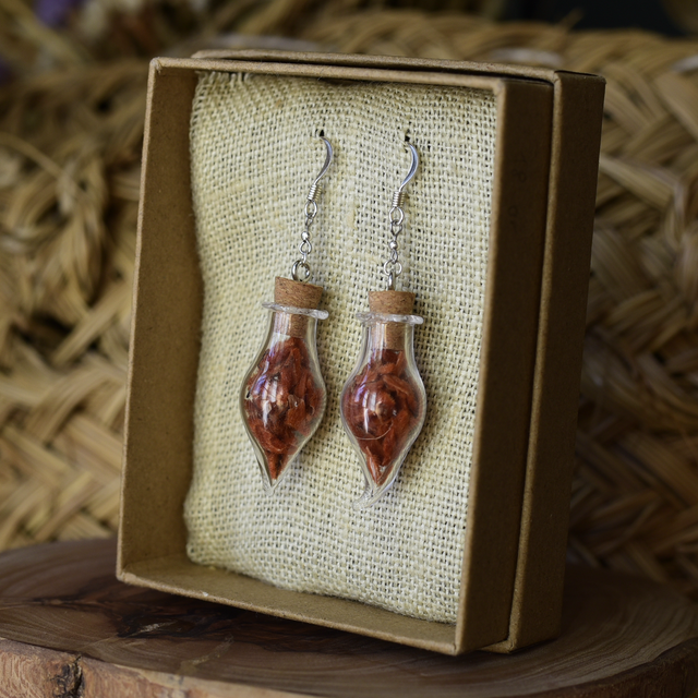 boucles fioles silver dagga