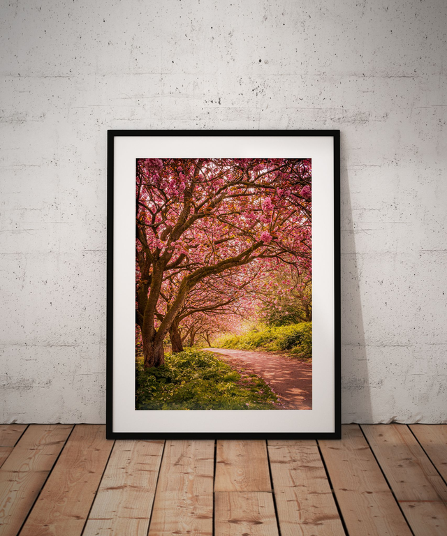 Blossoming Relationship, Saltburn