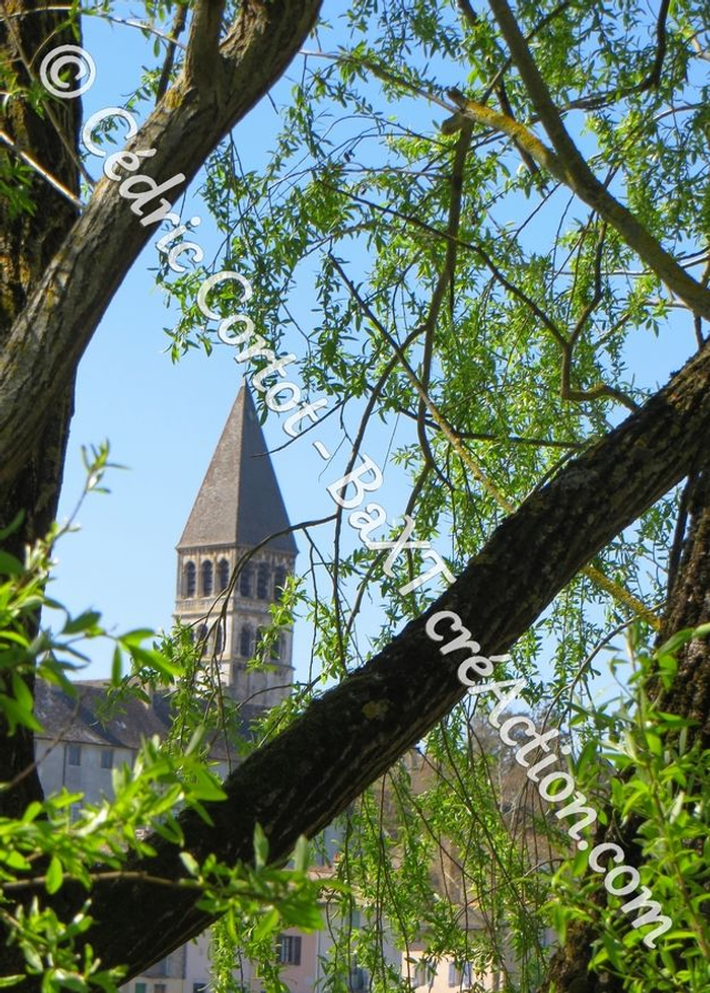 Carte postale - Paysages et divers (Ref IMG_3353)